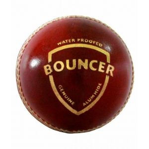 SG Bouncer Cricket Ball Red