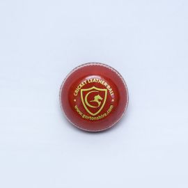 Gortonshire Disc Leather Cricket Ball For Practice
