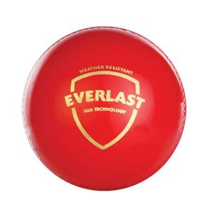 SG Everlast Synthetic Cricket Ball