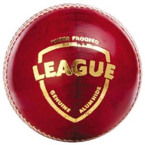 SG League Cricket Ball Red