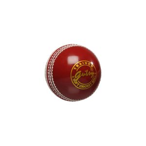 SS Incredi Snr Cricket Ball